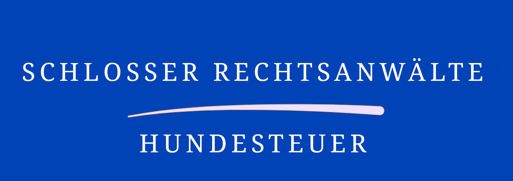 RAe Schlosser - Hundesteuer